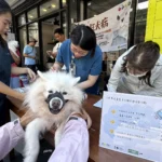 奇美醫院推「綠色快速通道」 奇美醫院與癌症希望基金會，讓治療有進展、支持更完整