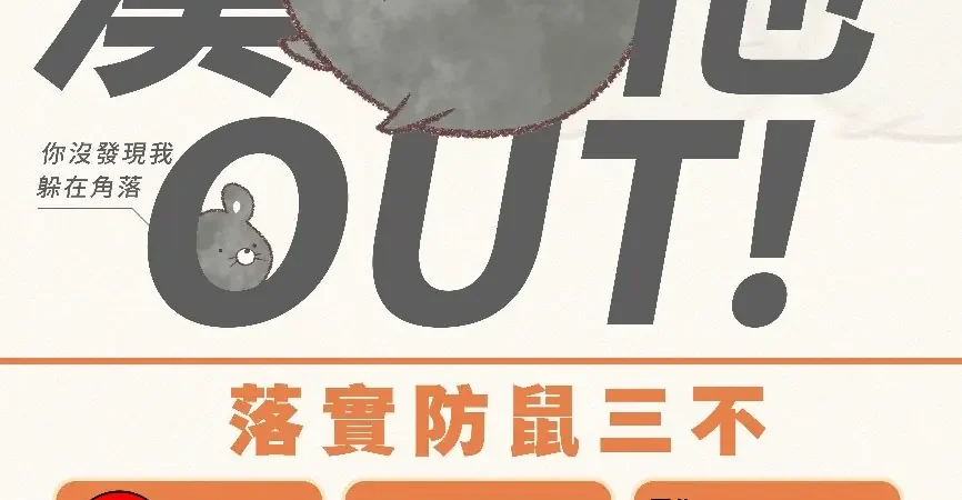 大掃除別輕忽！漢他病毒隨塵揚　嘉市衛生局籲清理雜物先做「這件事」